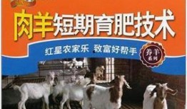 育肥羊爆料视频最新版,行业黑幕与真相大曝光